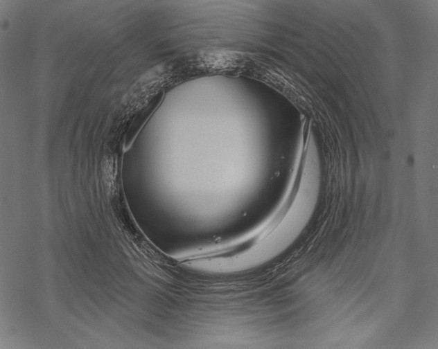 X0000067920605200605041711