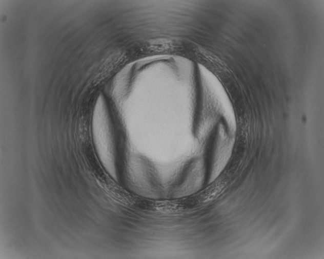 X0000067920606200605041711