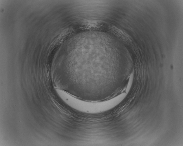 X0000067920607200605041711