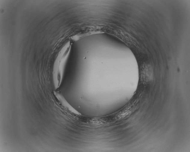 X0000067920608200605041711