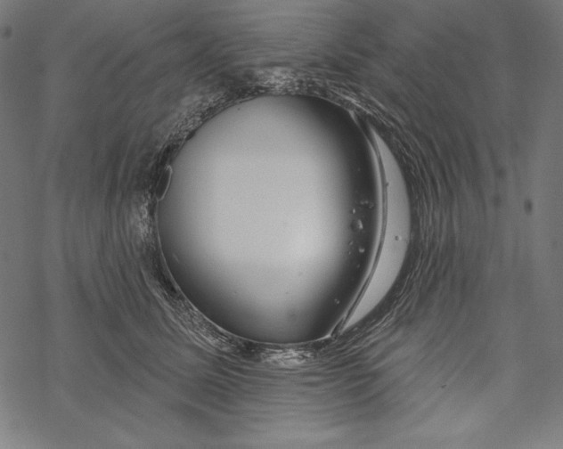 X0000067920611200605041711