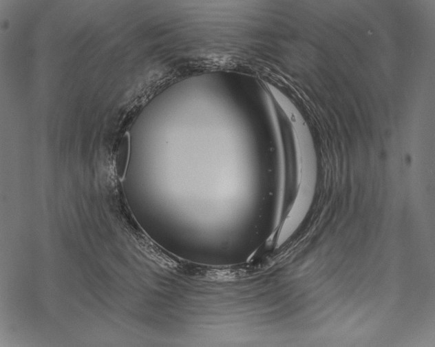 X0000067920613200605041711