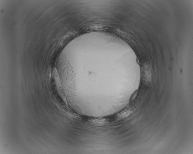 X0000067920615200605041711