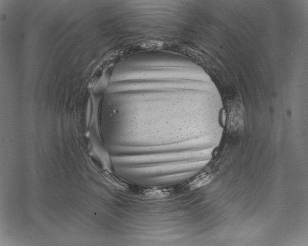 X0000067920616200605041711