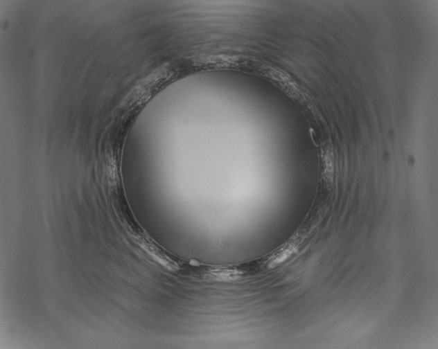 X0000067920617200605041711