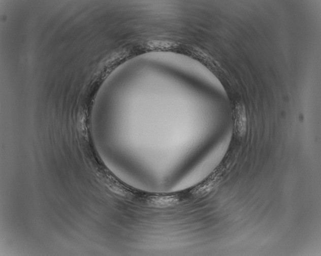 X0000067920619200605041711