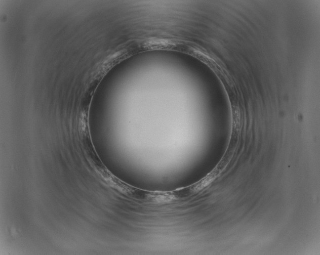 X0000067920621200605041711