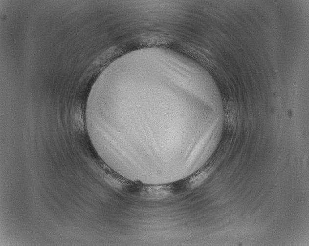 X0000067920622200605041711