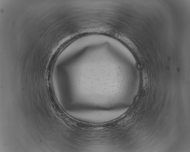 X0000067920628200605041710