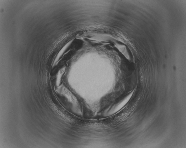 X0000067920637200605041710