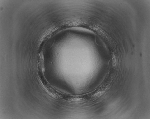X0000067920638200605041710