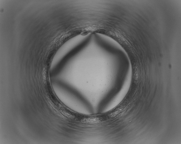 X0000067920639200605041710