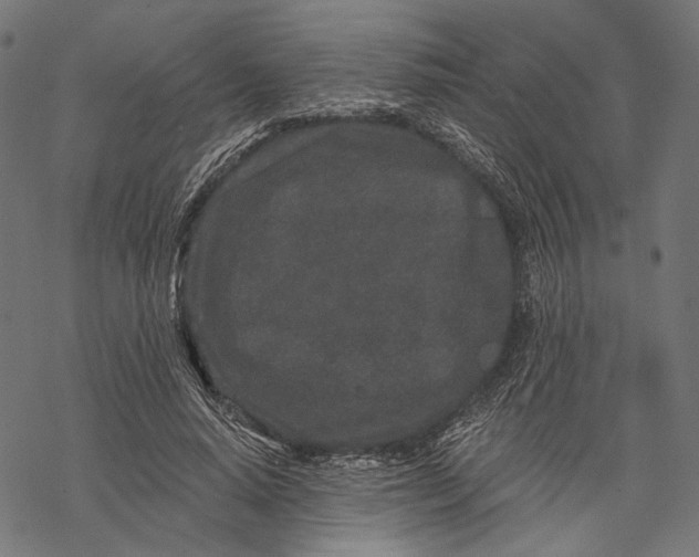 X0000067920640200605041710