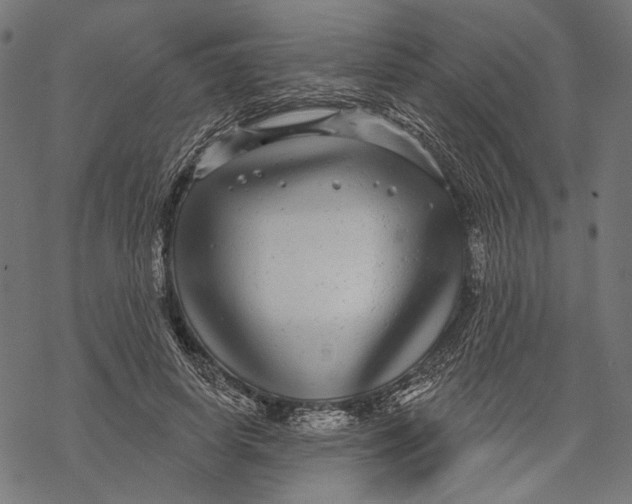 X0000067920642200605041710