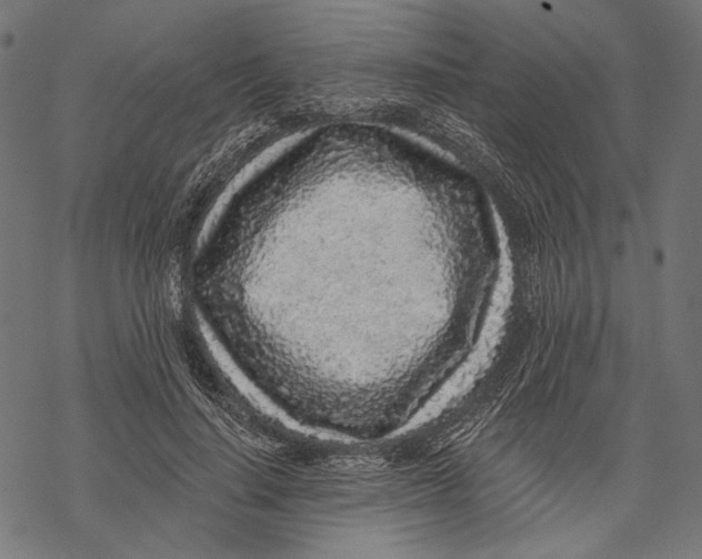 X0000067920644200605041710