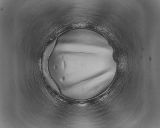 X0000067920647200605041710