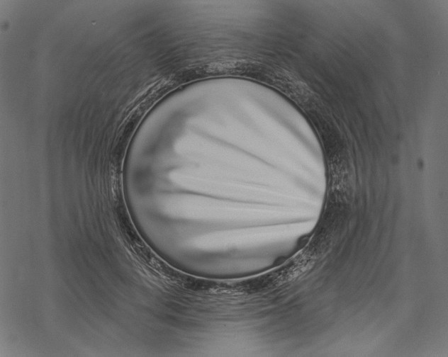X0000067920648200605041710