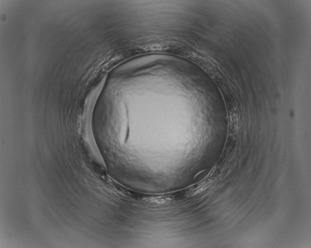 X0000067920652200605041710