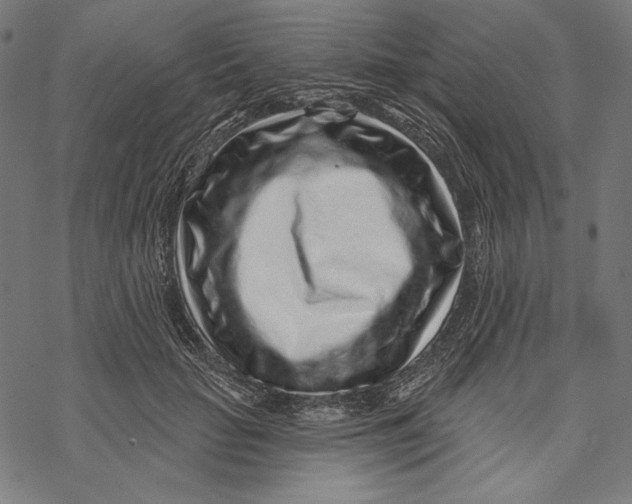 X0000067920653200605041710