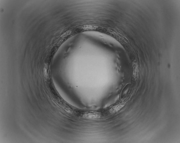 X0000067920655200605041710