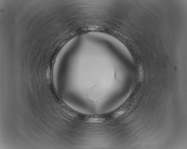 X0000067920657200605041710