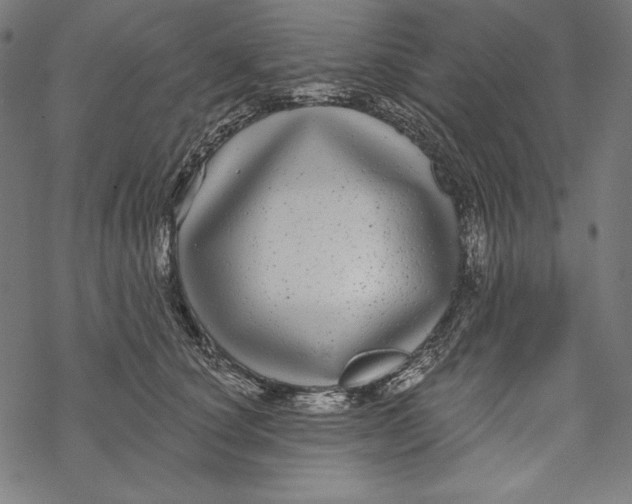 X0000067920660200605041710