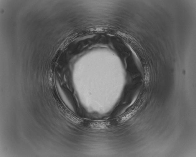 X0000067920661200605041710