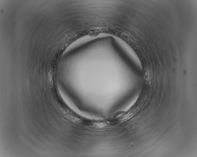 X0000067920662200605041710