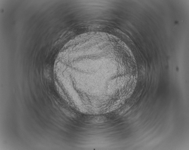 X0000067920663200605041710
