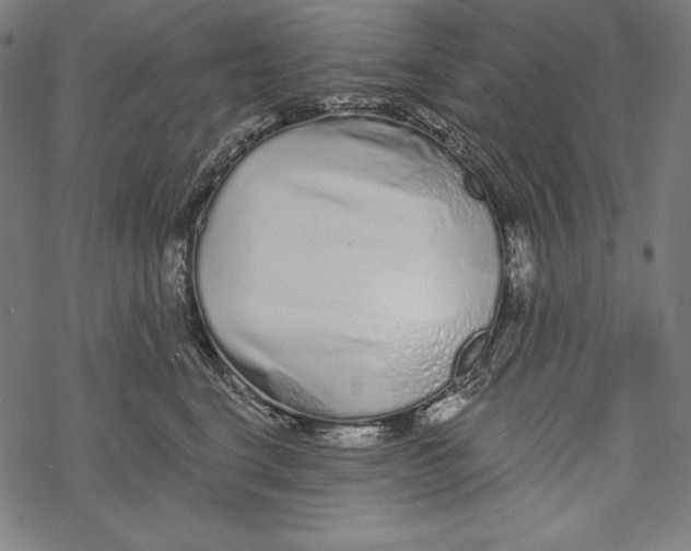 X0000067920664200605041710