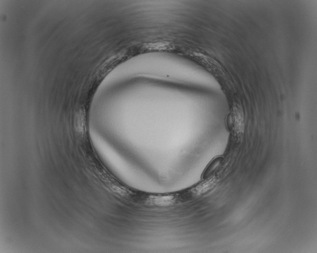 X0000067920665200605041710