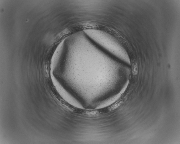 X0000067920666200605041710