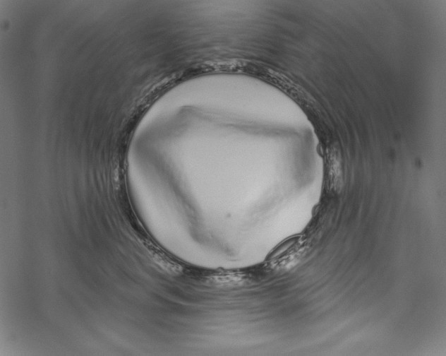 X0000067920668200605041710