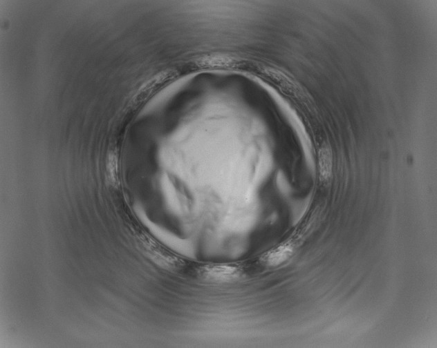 X0000067920669200605041710