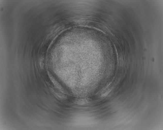 X0000067920671200605041710