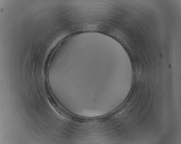X0000067920674200605041710