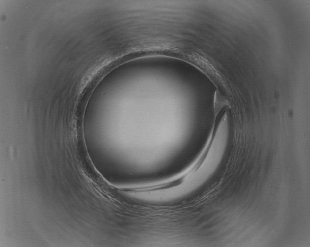 X0000067920676200605041710