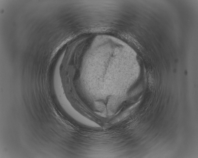 X0000067920684200605041710