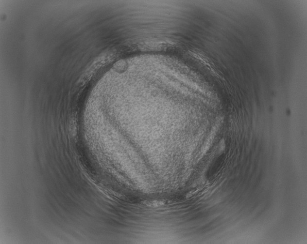 X0000067920687200605041709