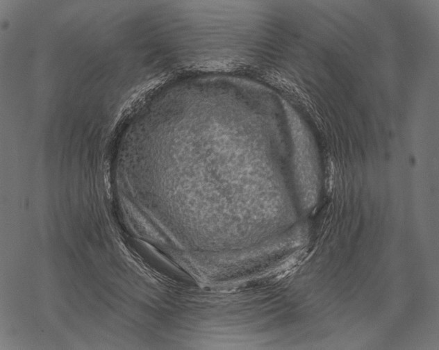 X0000067920688200605041709