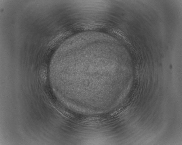 X0000067920691200605041709