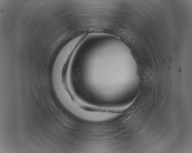 X0000067920693200605041709
