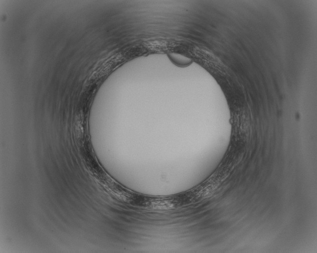 X0000067920702200605041709