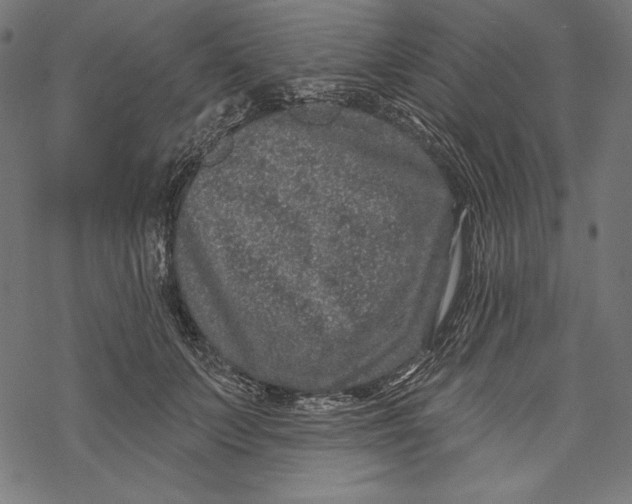 X0000067920703200605041709
