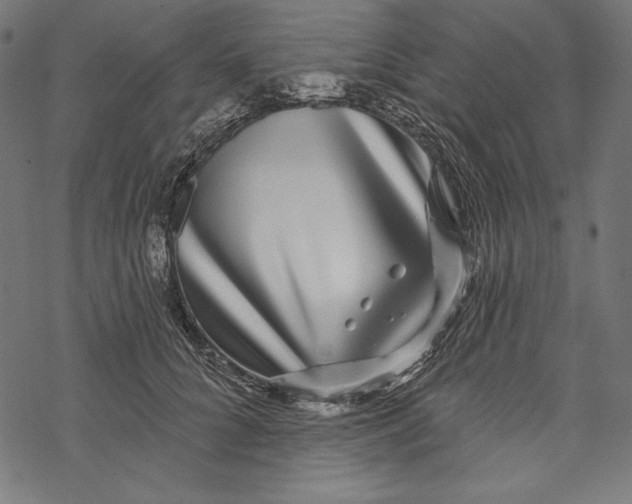 X0000067920704200605041709