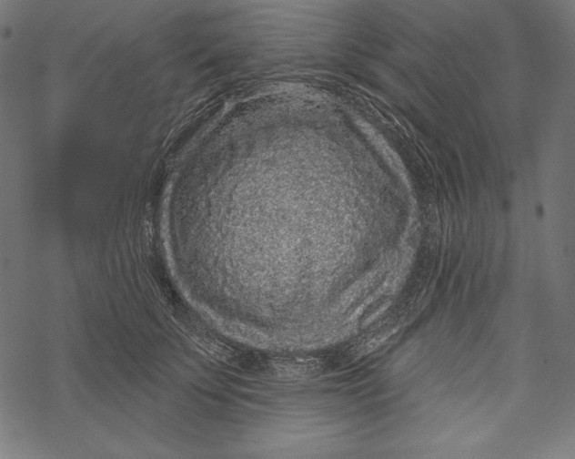 X0000067920707200605041709