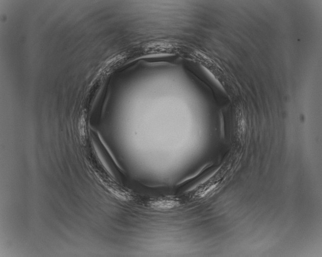 X0000067920708200605041709