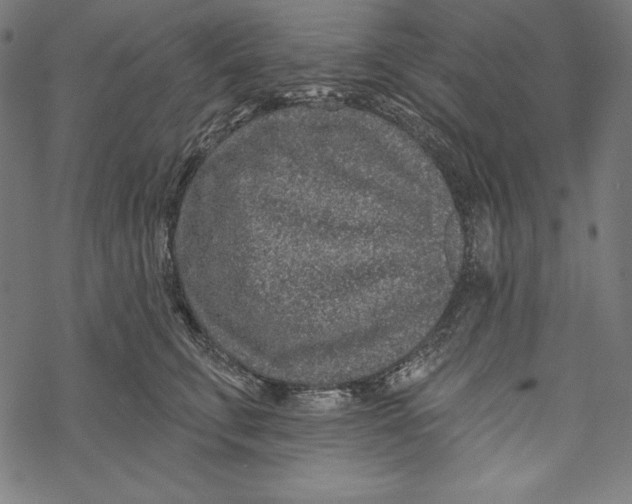 X0000067920711200605041709