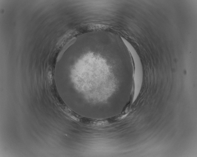 X0000067920716200605041709