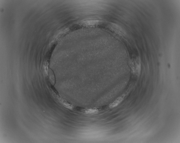 X0000067920718200605041709